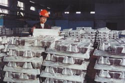 Magnesium ingots