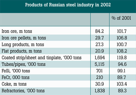 Products of Russian steel industry in 2002