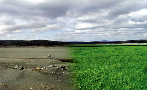 Sludge storage at the Vysokogorsky Ore Mining and Processing Mill before and after mine reclamation